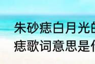 朱砂痣白月光的解释　白月光和朱砂痣歌词意思是什么