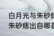 白月光与朱砂痣原唱本人　白夜光和朱砂痣出自哪首歌