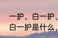 一护、白一护、斩月的关系　死神中白一护是什么，怎么出来的