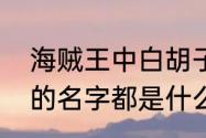 海贼王中白胡子海贼团的各番队队长的名字都是什么(要全名)