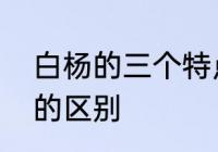 白杨的三个特点是什么　白杨和银杏的区别