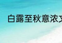 白露至秋意浓文案　白露已过文案