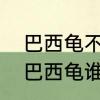 巴西龟不吃蚯蚓怎么回事　娃娃鱼和巴西龟谁更厉害一些