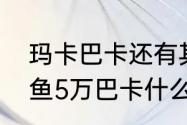 玛卡巴卡还有其他的叫什么　空气养鱼5万巴卡什么意思