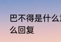 巴不得是什么意思　男人说巴不得怎么回复