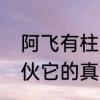 阿飞有柱间细胞吗　那个冒充斑的家伙它的真实身份是谁