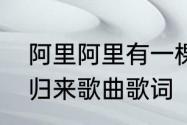 阿里阿里有一棵葡萄树的儿歌　赶圩归来歌曲歌词