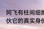 阿飞有柱间细胞吗　那个冒充斑的家伙它的真实身份是谁