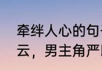 牵绊人心的句子　求一本女主角苏若云，男主角严以白的现代总裁小说