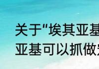 关于“埃其亚基”　魔兽世界里的埃其亚基可以抓做宠物吗