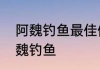 阿魏钓鱼最佳使用方法　如何使用阿魏钓鱼