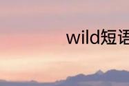 wild短语和固定搭配