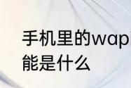 手机里的wapi是什么功能　wapi功能是什么