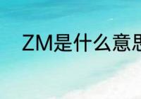 ZM是什么意思啊　10Z是啥意思