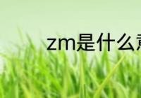 zm是什么意思　什么是zm