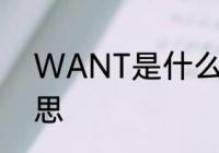 WANT是什么意思　want的中文意思