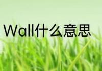 Wall什么意思　wall什么意思怎么读