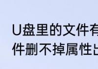 U盘里的文件有权限怎么删除　u盘文件删不掉属性出错如何处理