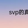 svp的真正含义　Svp什么意思