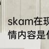 skam在现实中是真的吗　SKAM的剧情内容是什么呢