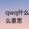 qwq什么意思在游戏里　“qwq”是什么意思