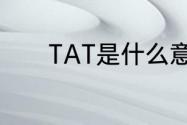 TAT是什么意思　什么是TAT