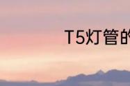 T5灯管的尺寸是多少