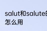 salut和salute的区别　salute这个梗怎么用