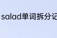 salad单词拆分记忆　salad是什么鱼