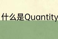 什么是Quantity　quantity介词短语