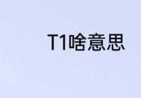 T1啥意思　t1级别什么意思