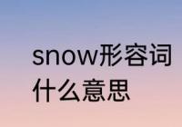 snow形容词　Snowynight中文是什么意思