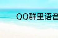 QQ群里语音消息发送不出去