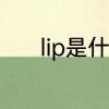 lip是什么意思　lip是什么意思