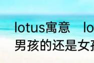 lotus寓意　lotus如果作为英文名是男孩的还是女孩的