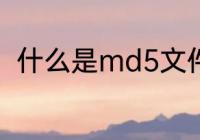 什么是md5文件　MD5是什么意思