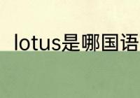 lotus是哪国语言　金瓦组合念什么