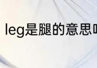 leg是腿的意思吗　Leg中文什么意思