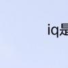 iq是什么　iq什么意思