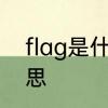 flag是什么意思　flag英语是什么意思