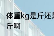 体重kg是斤还是公斤　kg是公斤还是斤啊