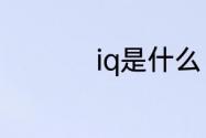 iq是什么　iq什么意思