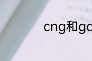 cng和gas有什么区别