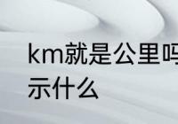 km就是公里吗　km在数学公式中表示什么