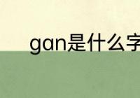 gan是什么字　Gan拼音的汉字