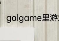 galgame里游戏本体是个什么概念