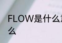 FLOW是什么意思　flow是浪的意思么