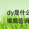 dy是什么意思　DY是什么意思，有谁能告诉我