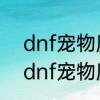 dnf宠物魔法石残影特效怎么弄出来　dnf宠物魔法石残影特效怎么弄出来