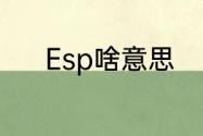 Esp啥意思　ESP是什么意思呢